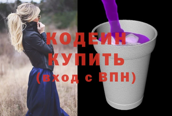 гашик Арсеньев