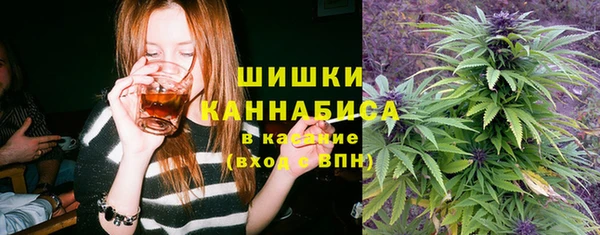круглые Аркадак
